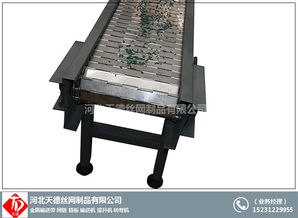 降噪音设备网链定制 平泉网链 天德不锈钢网带 图
